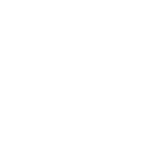 Daxiongmao-store